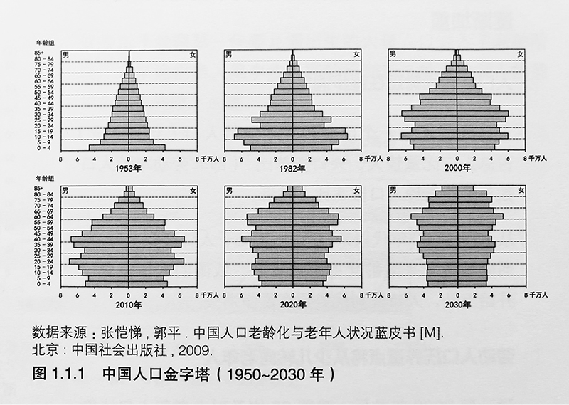 中國人口金字塔